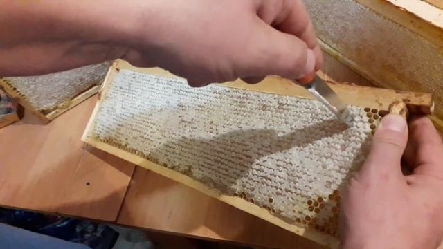 Сотовый мёд 2019 смотреть онлайн