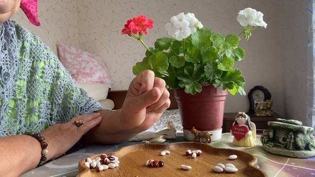 [ГАДАНИЕ НА БОБАХ] Судьбоносный сентябрь, Вы еще не знаете смотреть онлайн