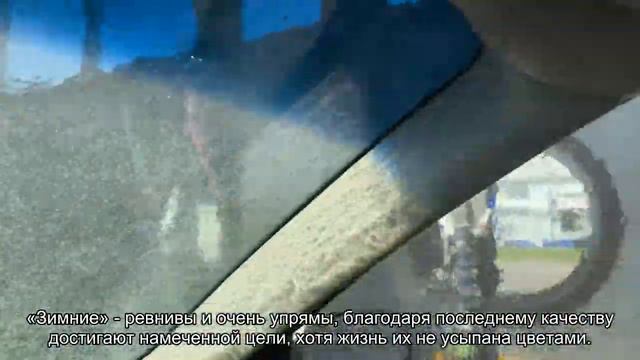 Значение имени Назарий. Толкование, судьба, характер смотреть онлайн