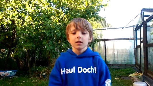Про собаку стих. смотреть онлайн
