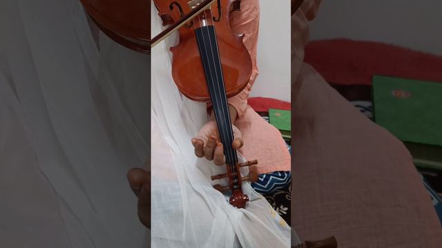 bhairavi swarajathi ni and saa смотреть онлайн