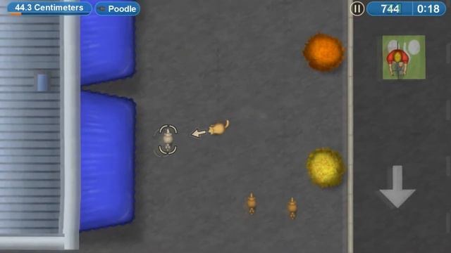 Котенок ЗУБАСТИК ГЛАЗАСТИК #1 съел целый город Мультик ИГРА CAT EATS EVERYTHING Tasty Blue Forever смотреть онлайн