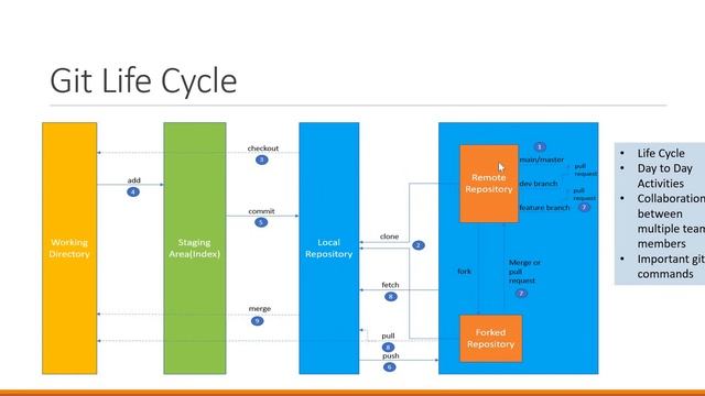 Git Life Cycle(part1) смотреть онлайн