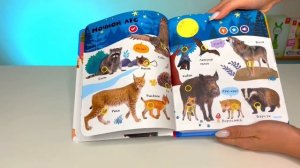Нажималка - книга для развития речи, слуха и памяти