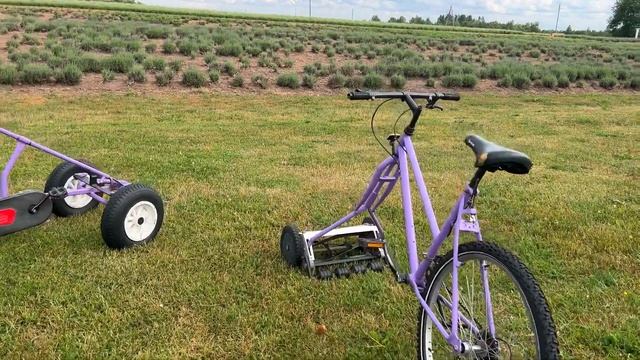 Фотосессия для ребёнка своими руками | ЛАВАНДОВОЕ ПОЛЕ? смотреть онлайн