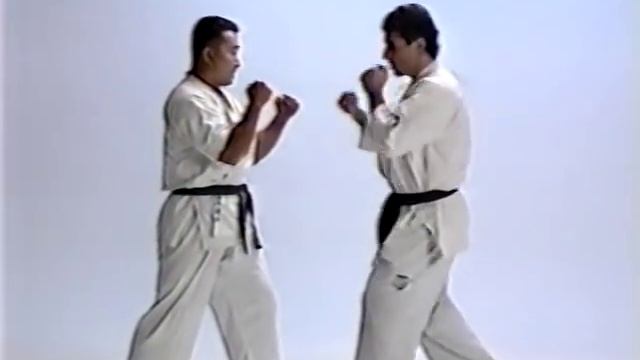 Andy Hug, master of Kyokushinkai - Techniques Kumite Karate Kyokushin and martial splits stretchin смотреть онлайн