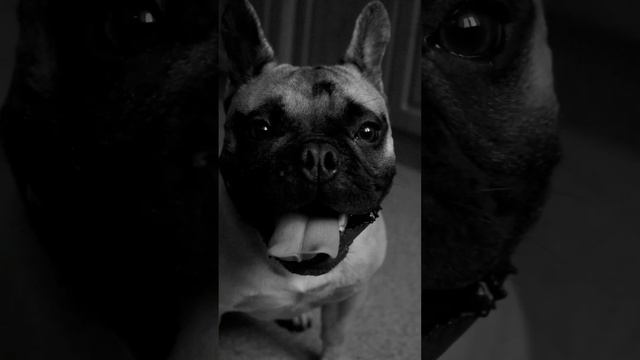 #влог #отдых #жизнь #live #фото смотреть онлайн