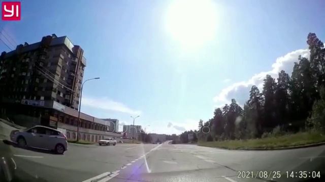 #оленьпогороду Куда едет ??? … !!! смотреть онлайн