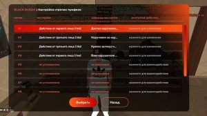 Как настроить биндер для ГИБДД в блек раше