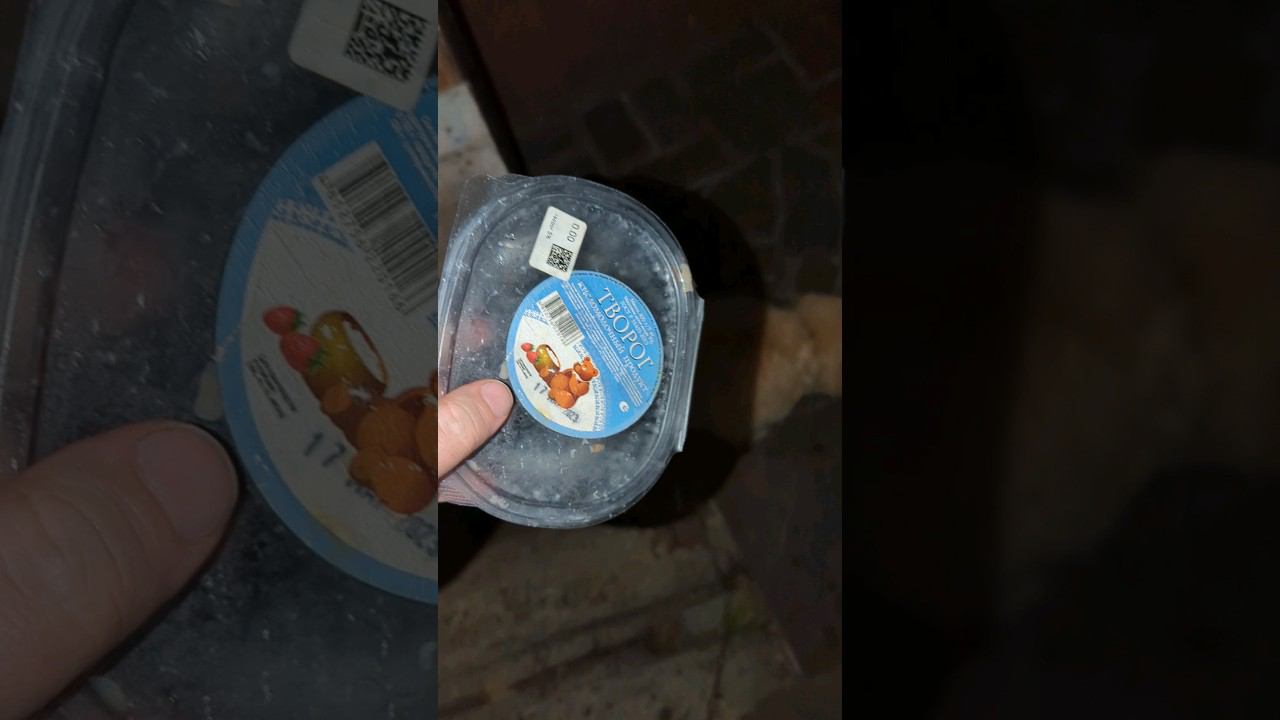 кормлю Мишаню НЕ КОСТОЧКАМИ #shorts смотреть онлайн