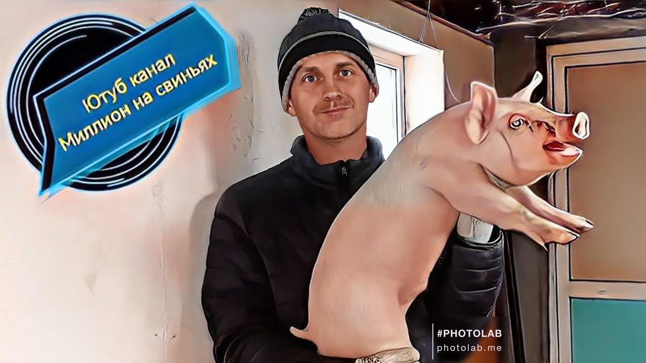 Материнская линия F1 что это за гибрид в свиноводстве? Плюсы F1 ! Купил колеса на новый прицеп! смотреть онлайн