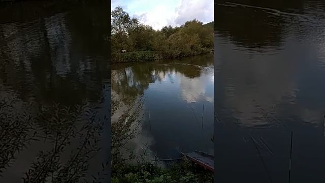 очистка пруда от ила ( новый способ) !!!!! смотреть онлайн
