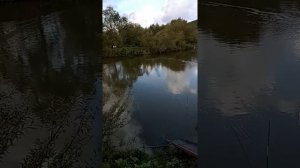 очистка пруда от  ила ( новый способ) !!!!!