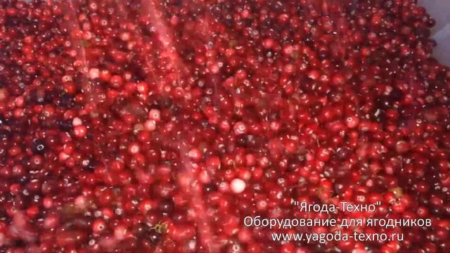 Веялка для очистки ягод Брус-500 "Ягода-Техно" смотреть онлайн