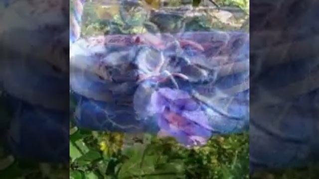 Две валяные сумки, войлок летом! Что можно сделать из шерсти.Bags made of felt Мое слайд-шоу смотреть онлайн