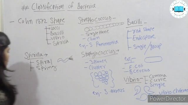 Classification of Bacteria | Classification of Bacteria with example| जीवाणु का वर्गीकरण смотреть онлайн