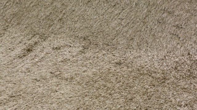 Ковер PSR17004-CRE из коллекции SHAGGY LUXE на сайте kover.ru смотреть онлайн