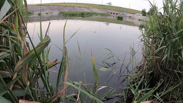 Рыбалка.попла-поппер.разная рыба. опарыш. ловлю где придется и что придется!ловля на попла-поппер. смотреть онлайн