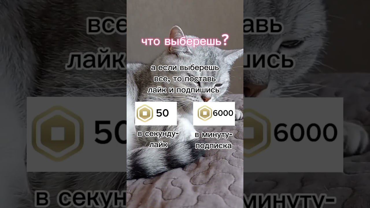 23 марта 2024 г. смотреть онлайн
