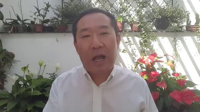 Depressão tratamento caseiro com vitaminas certas | Peter Liu смотреть онлайн