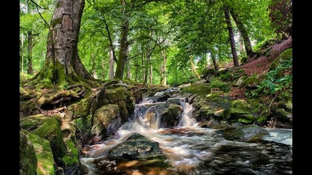 Весна Капли росы в солнечных лучах Водные потоки смотреть онлайн