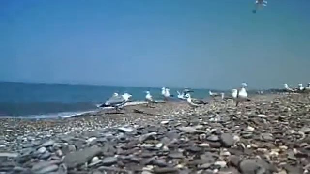 Танец на берегу смотреть онлайн