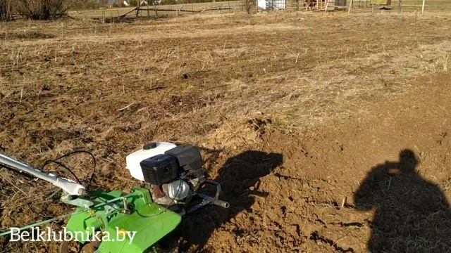 Клубника. Подготовка почвы. Belklubnika.by.mp4 смотреть онлайн