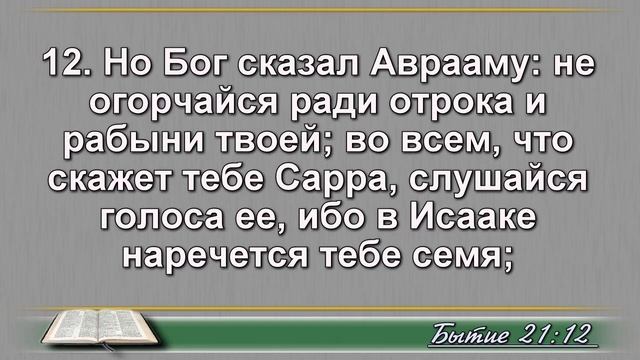 Ежедневное Чтение Библии 11 Января: Псалом 11, От Матфея 11, Бытие 21, 22 смотреть онлайн