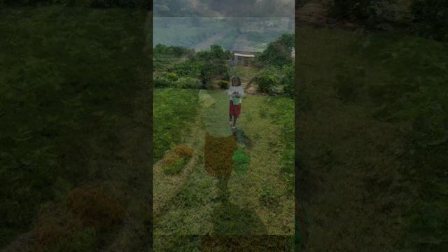 Our first Strawberry picking at Kuzipa farm,Lusaka смотреть онлайн