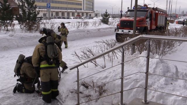 Пожарно-тактические учения прошли в Академгородке смотреть онлайн