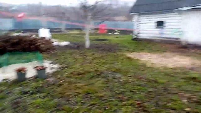 Как Подрос ГРЕЦКИЙ ОРЕХ. УКРЫВАЮ ОРЕХ на ЗИМУ.How a WALNUT grows. 04.11.2019г. смотреть онлайн