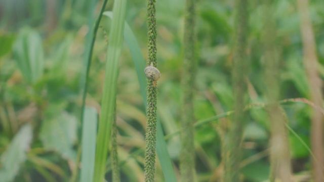 おいしいは幸せ｜おうちでケーキを楽しむ時間｜フランスMONOPRIXの可愛い子ども服｜パリの人気パティスリーMORI YOSHIDA｜暮らしのVlog｜フランス生活｜日常｜SUB