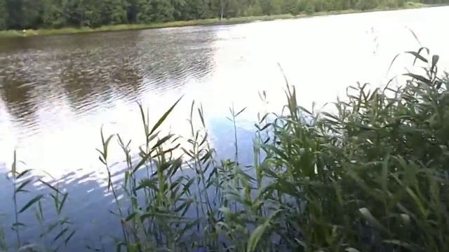 супер вел шуваловский карьер приехали по рыбачить смотреть онлайн