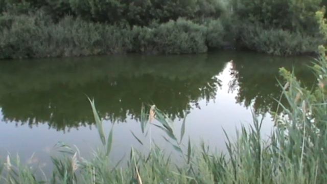 Рассвет на реке смотреть онлайн
