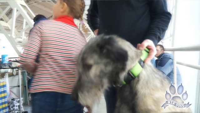 зимние кружева