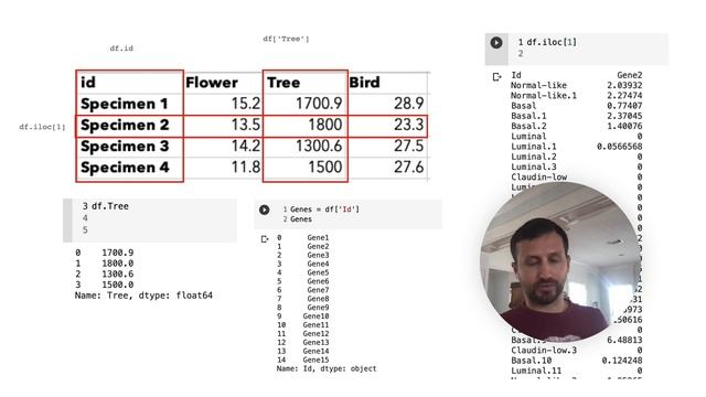 Omics Logic - BioML in Python: Visualization смотреть онлайн