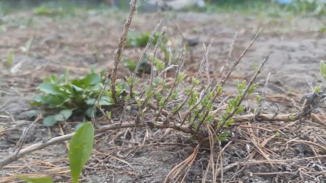 Интересные Факты и Загадки