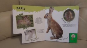 Азбукварик. Говорящая энциклопедия для малышей