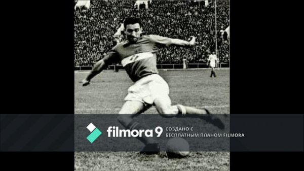 НИКИТА        СИМОНЯН