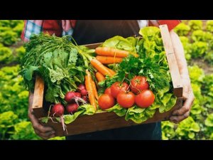 Причины перехода на вегетарианство