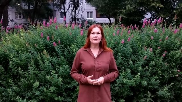 Проект "Праздник в подарок" #доброволецроссии смотреть онлайн