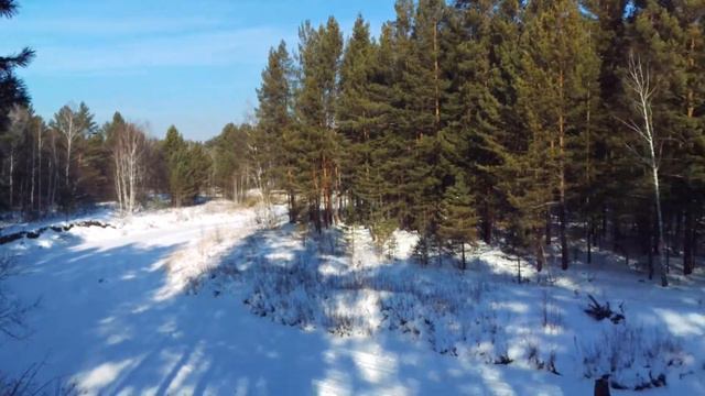 Маламут Музгар. Вниз-вверх! смотреть онлайн