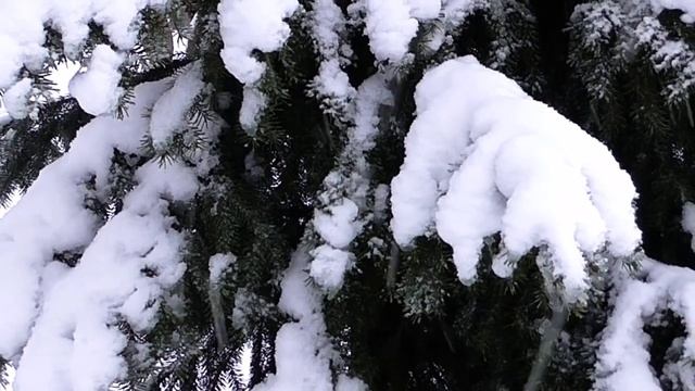 А снег не знал и падал. смотреть онлайн