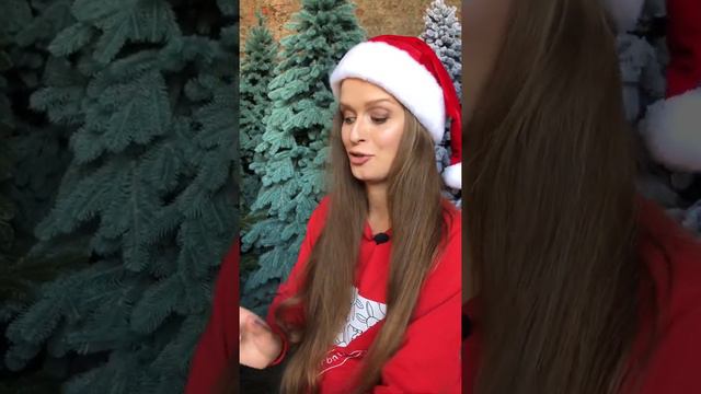 2,15 м Ялинка Лита Засніжена смотреть онлайн