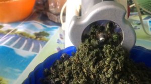 Ферментированный чай из листьев мяты