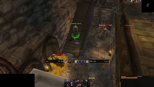 Wow SOD - Druid Solo Baron Silverlaine смотреть онлайн