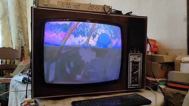 Электрон-714 + транскодер PAL-SECAM Teleview DSC640