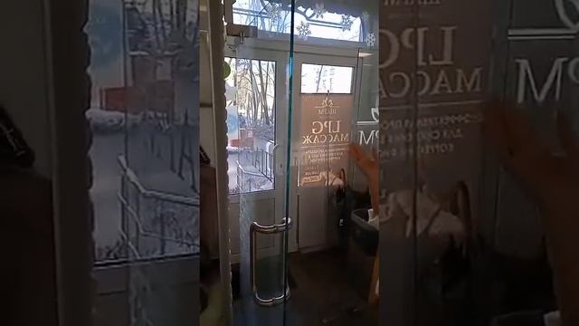 Ремонт дверей в Москве +79167257561 remontnik-dverej.ru смотреть онлайн