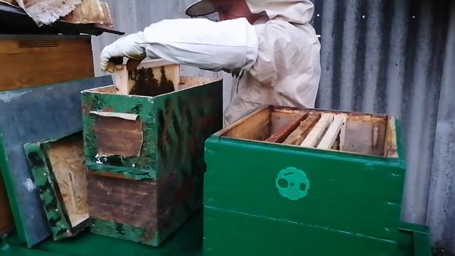 Рой '' ПЕРВАК'' 2020 смотреть онлайн