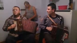 Гагаузская гармонь 2